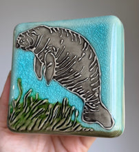 Load image into Gallery viewer, Manatee  Wall Hanging
