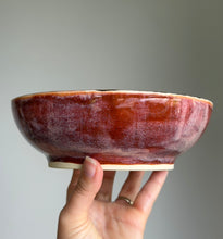 Load image into Gallery viewer, Medieval Dragon Bowl
